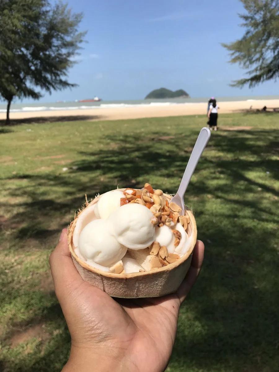 Coconut ice-cream