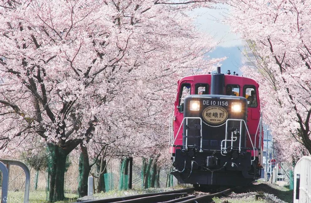 Kyoto Sagano Romantic Train