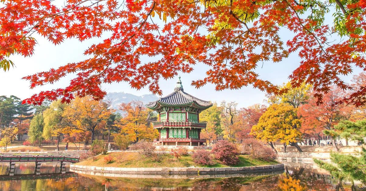 The Ultimate Guide to Autumn Foliage in Seoul