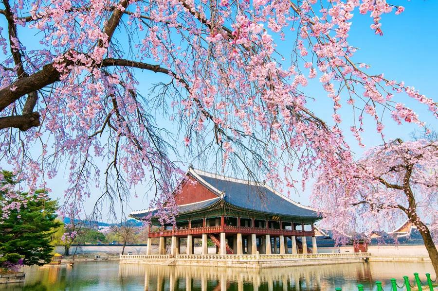 10D9N Itinerary In Seoul, Busan And Jeju