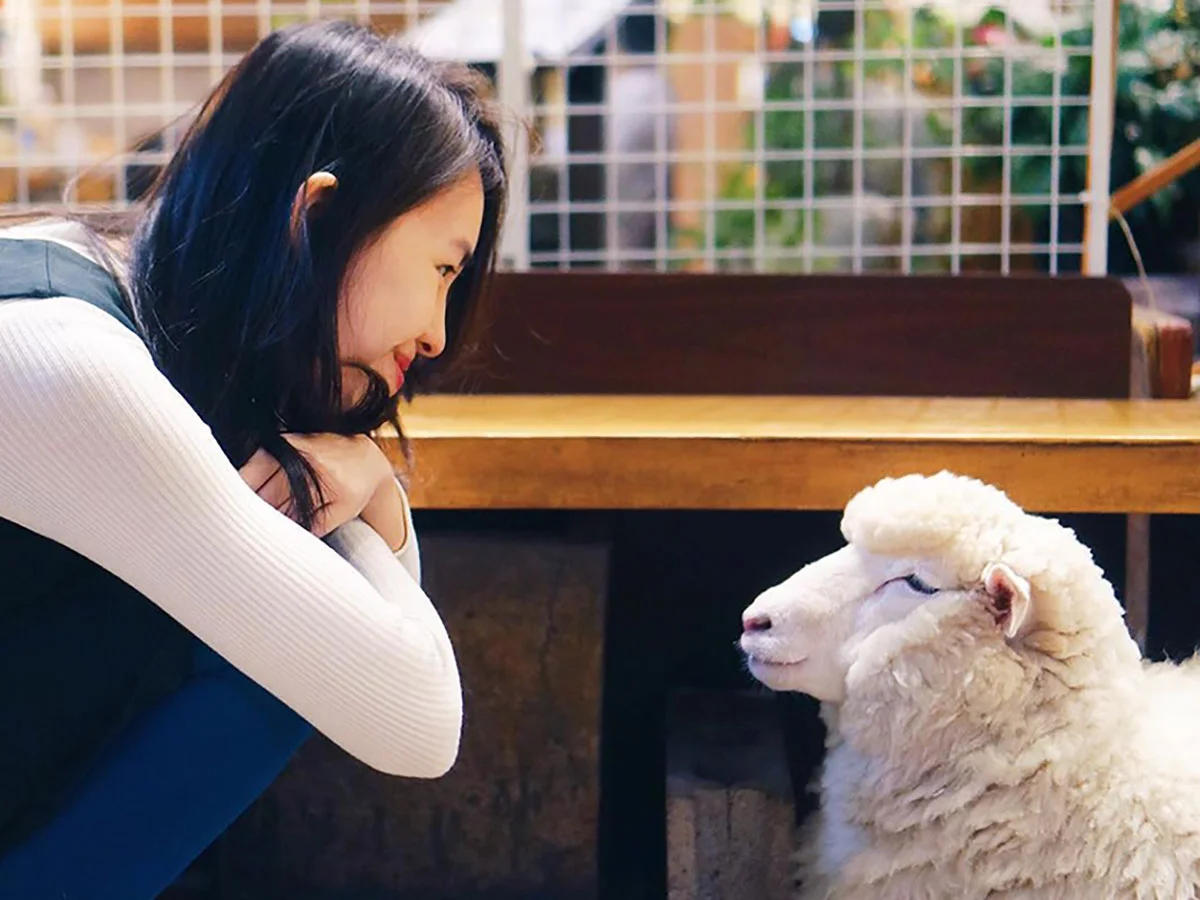 5 Quirky Cafes In Seoul You'll Keep Coming Back To