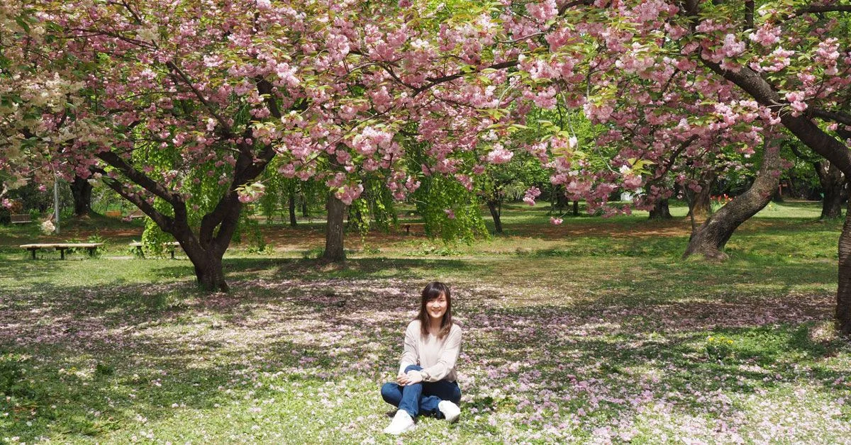 I Experienced Cherry Blossoms In Japan And Here’s What It’s Really Like