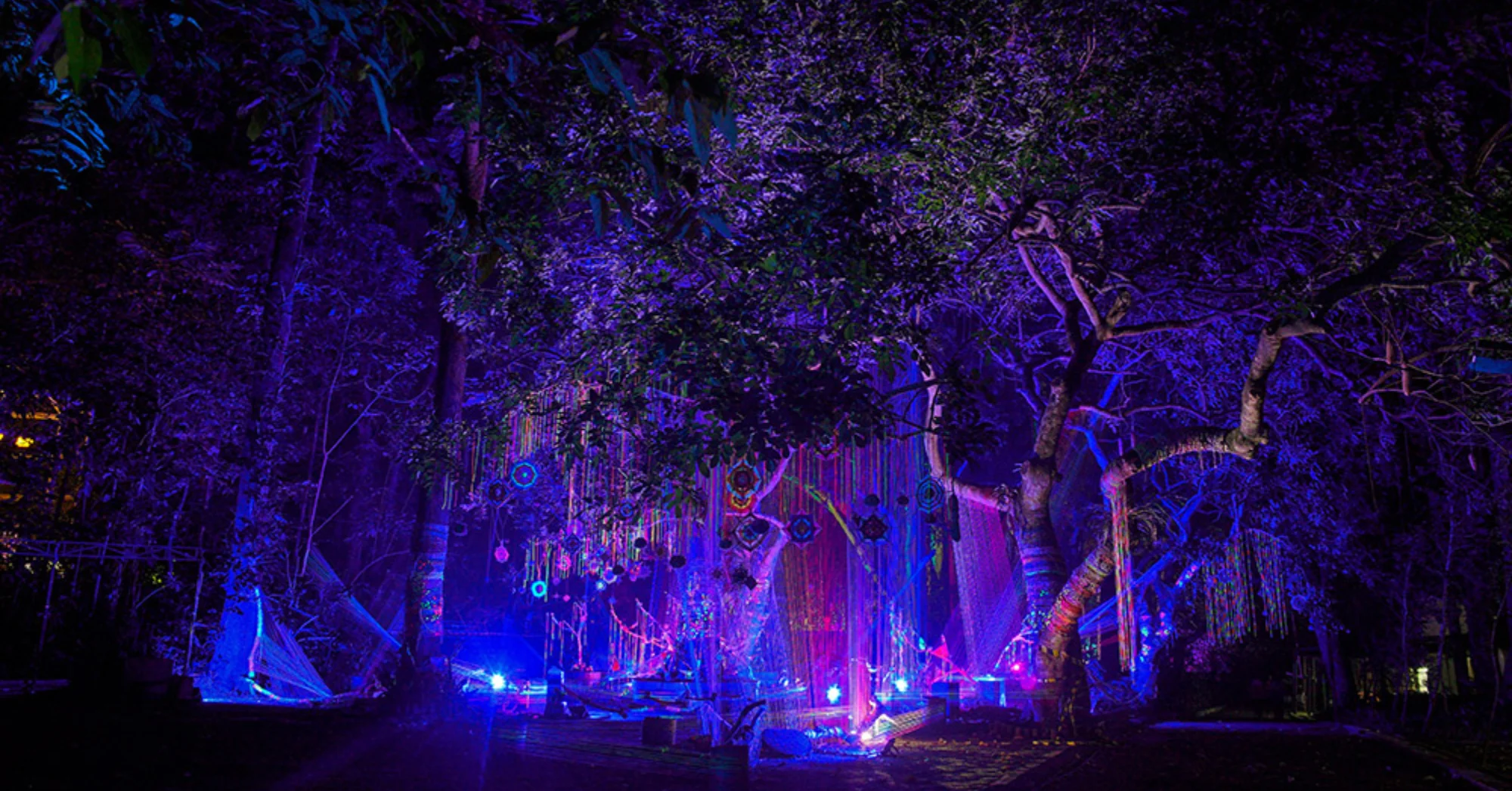 Wisata Malam Instagramable Hutan Menyala Bandung