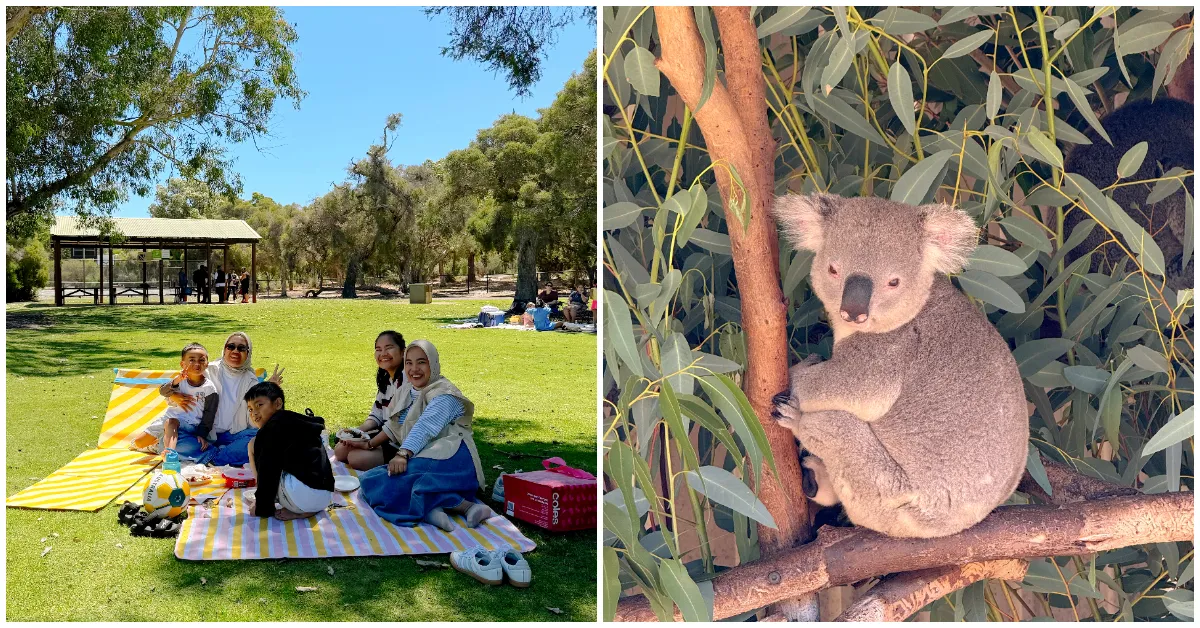 5D4N Itinerary For A Family Adventure In Perth (With New Things To Do!)