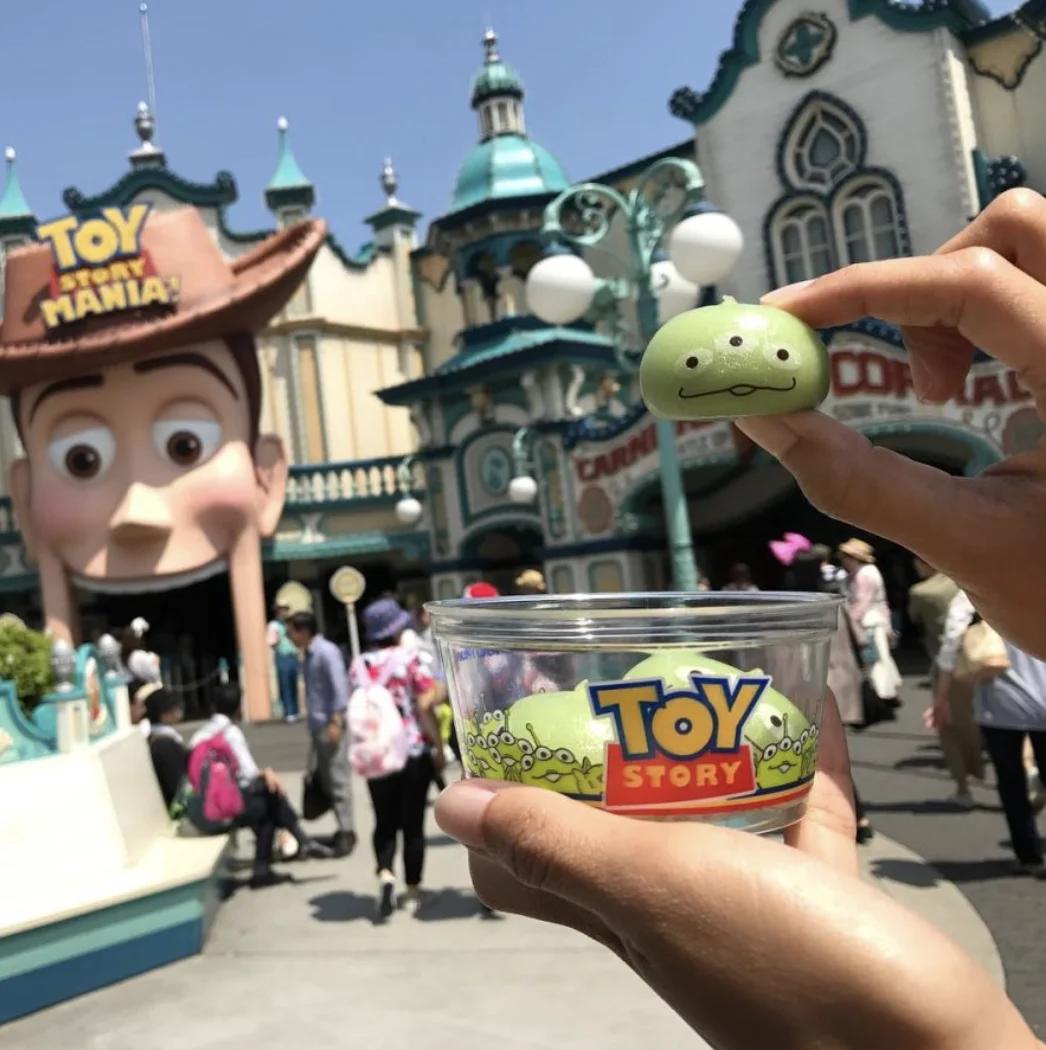 Tokyo Disneyland vs DisneySea