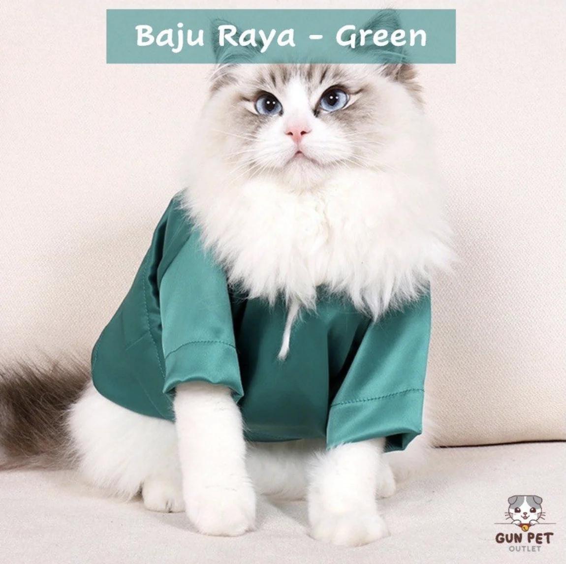 Carousell - Thrifted Baju Raya + Baju Raya for Cats