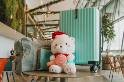A luggage, packing bag and bear