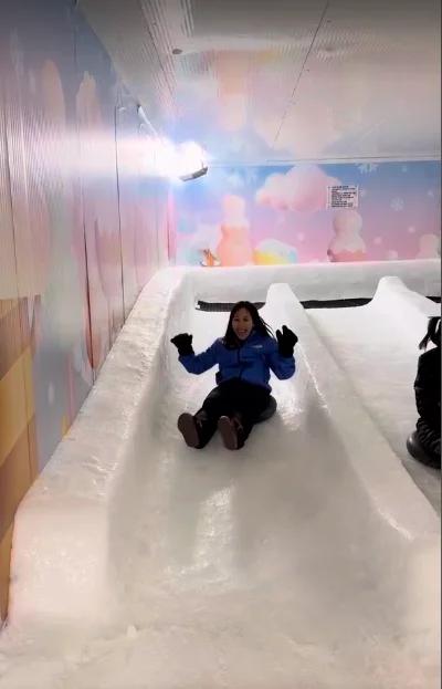 A slide made out of ice