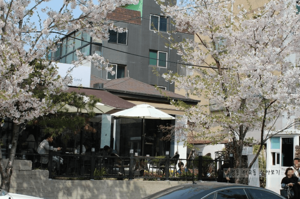 korea cherry blossoms seoul hapjeong hongdae