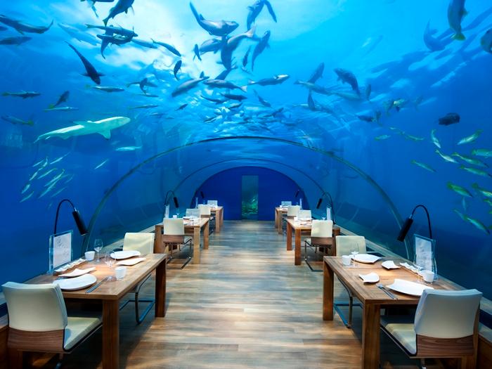 Maldives Underwater Restaurant Conrad Maldives