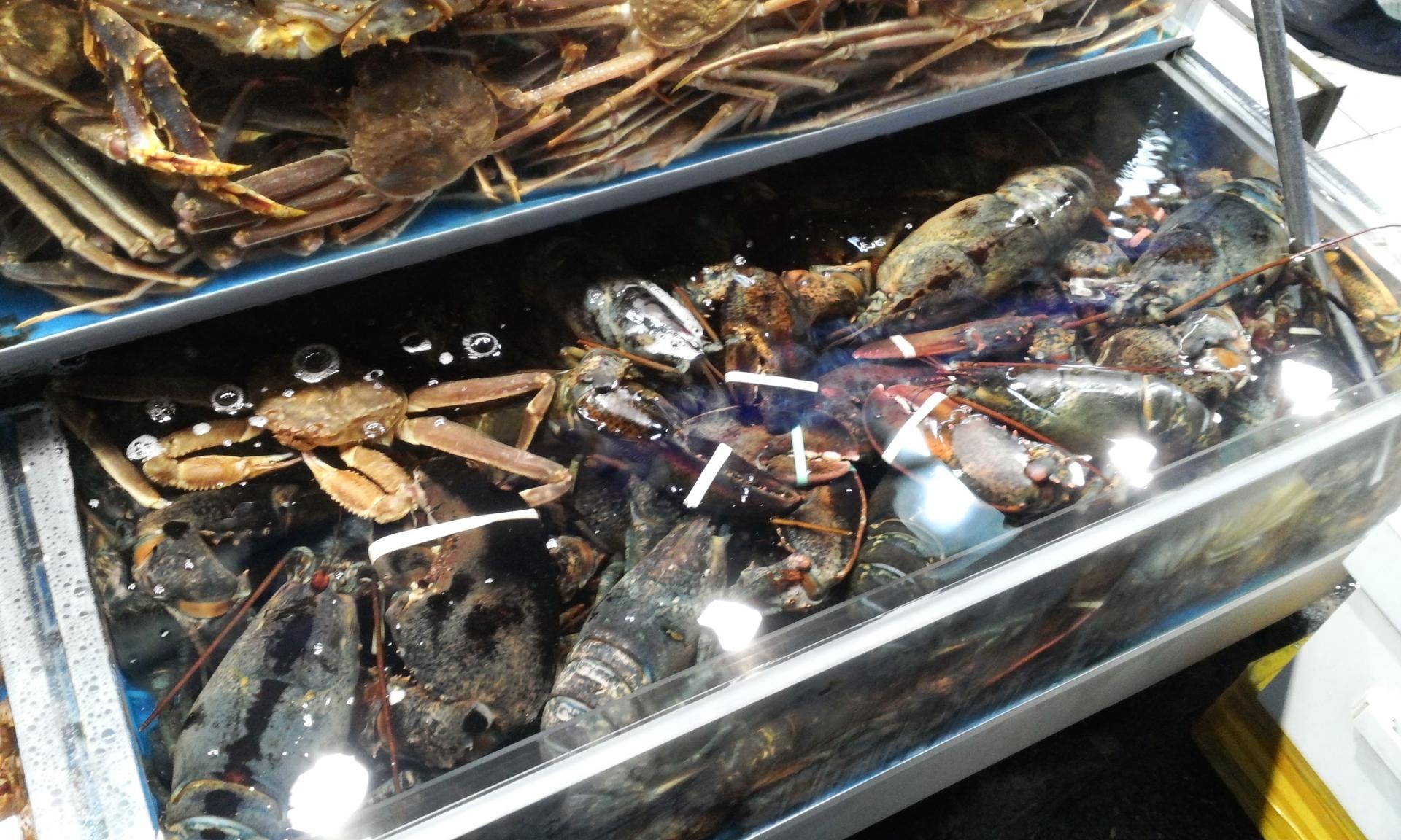 Variety of Crab and Lobster