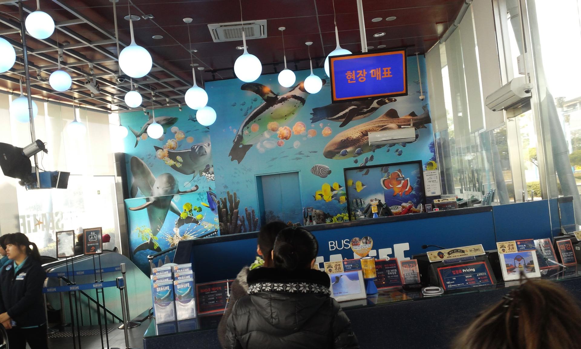 Busan Sea Life Aquarium 2