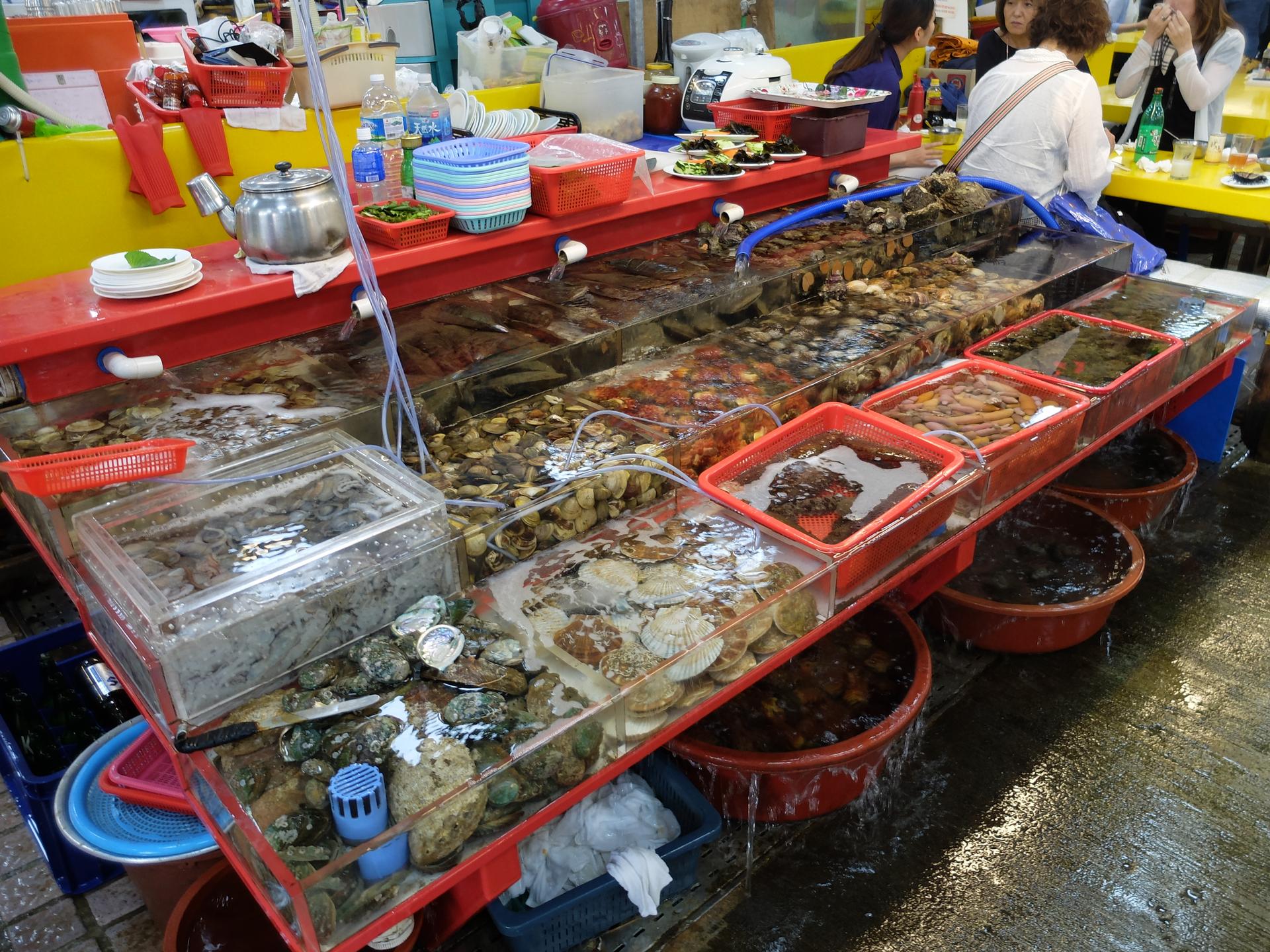 Jalgachi Seafood Market Busan