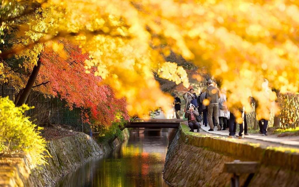 Autumn philosopher's walk