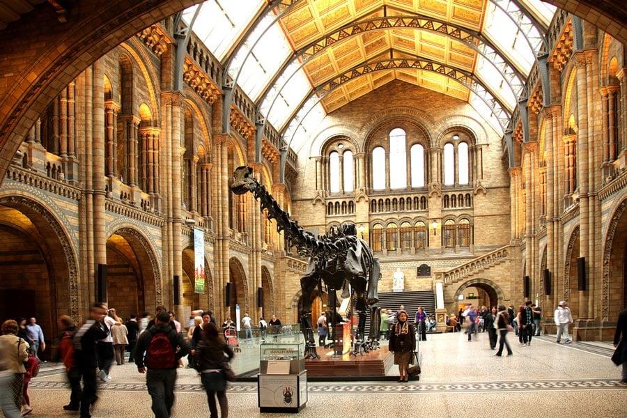 6---natural-history-museum-london-dinosaur