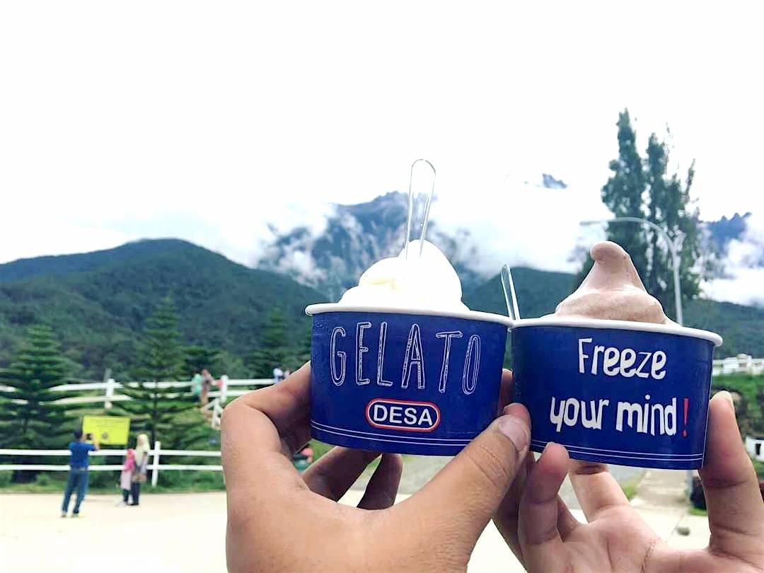 The best thing to have while you're at a cattle farm? Fresh gelato of course!