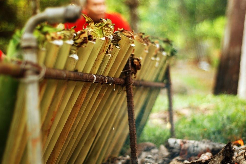 Lemang being cooked in bamboo.