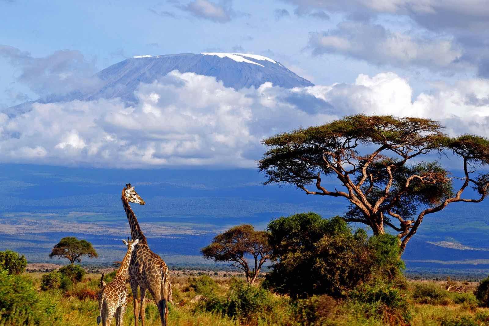 Mt-Kilimanjaro