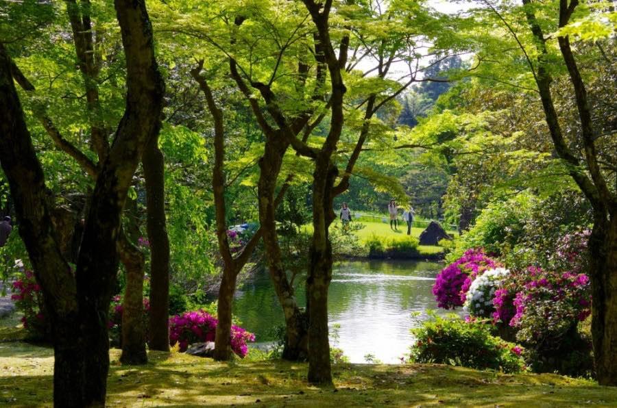 Go for a sun-kissed stroll at Manyo Botanical Garden