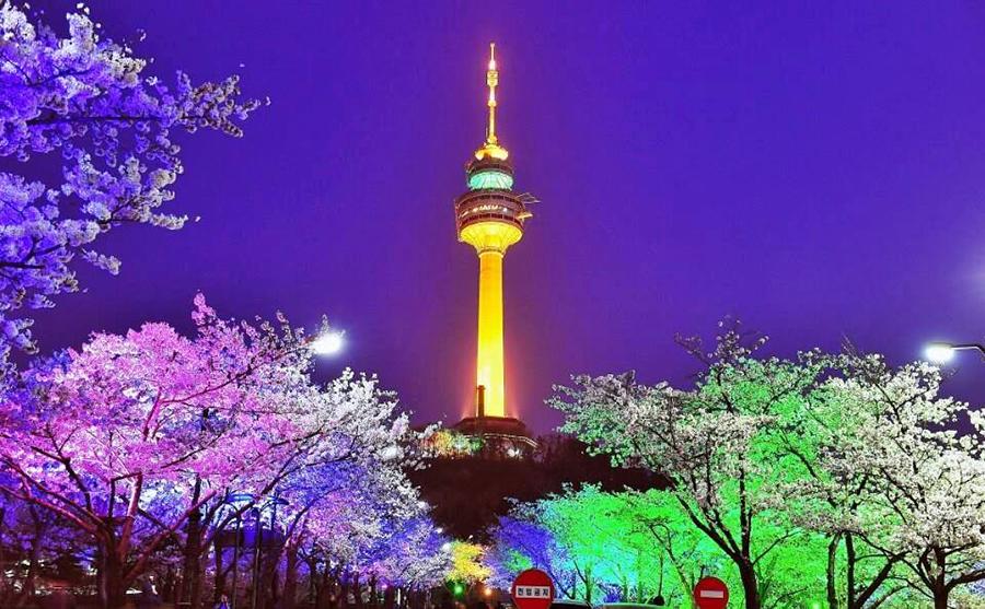 9 -Cherry Blossom N Seoul Tower