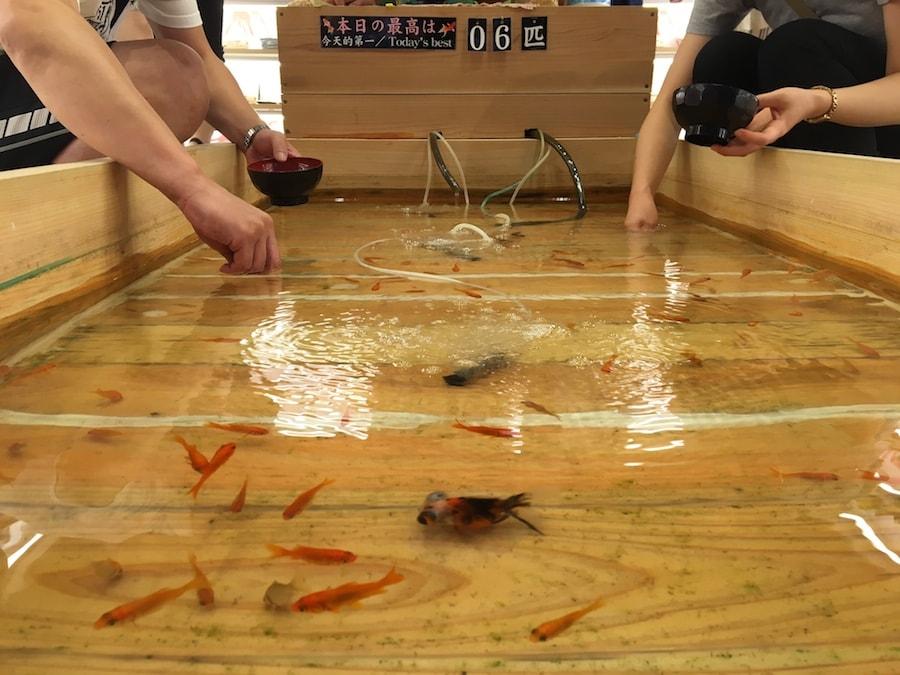 goldfish-scooping-asakusa-tokyo-japan-3-min