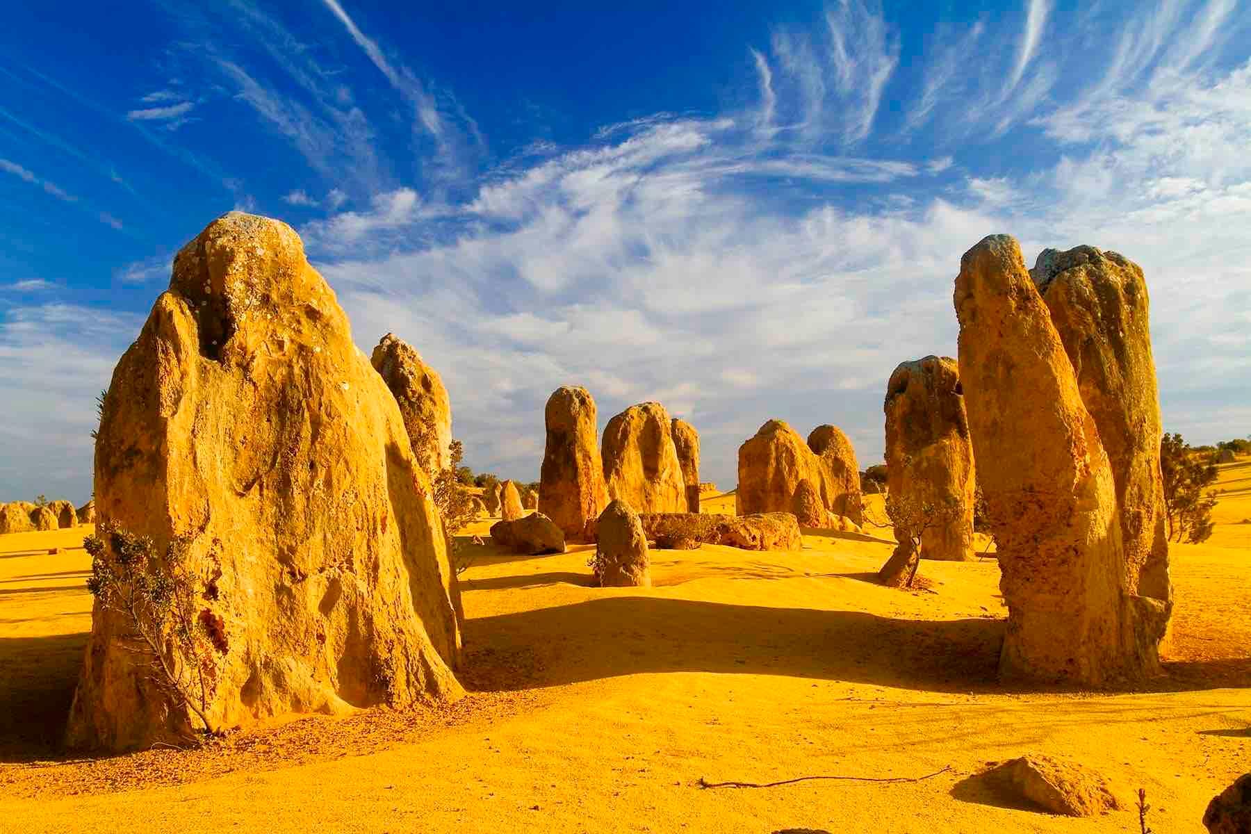 Discover the ancient limestone pillars of the pinnacles