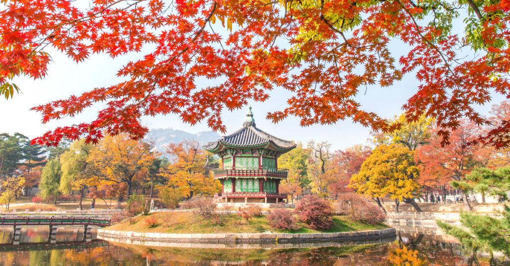 gyeongbukgung-autumn-fb
