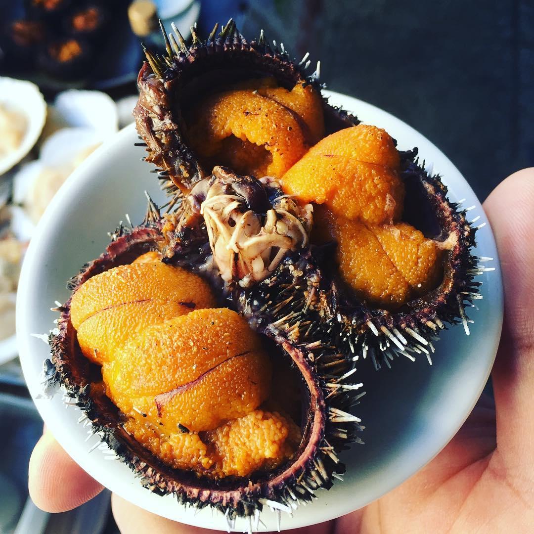 9-nijo-sea-urchin