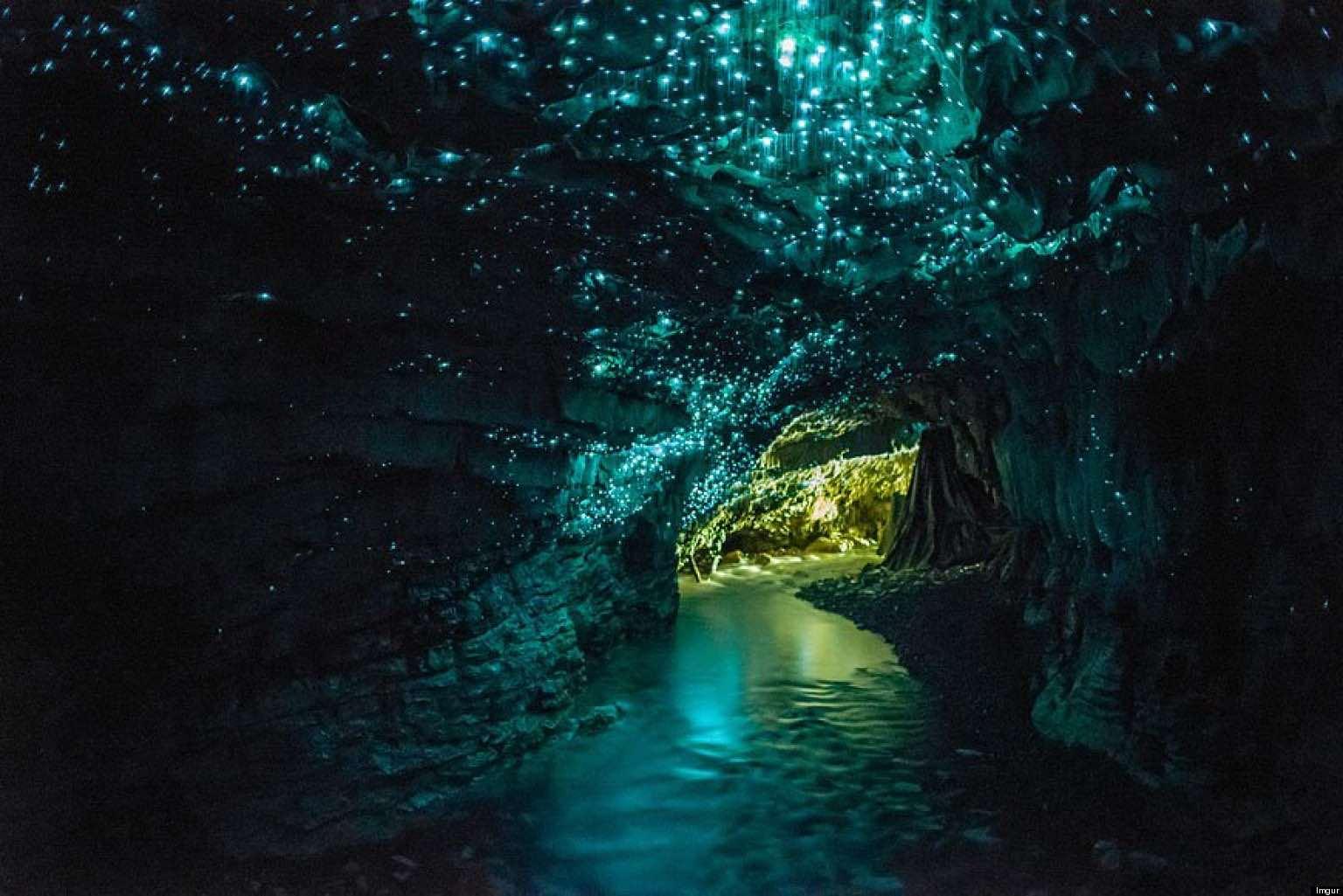 12 - Glowworm Caves