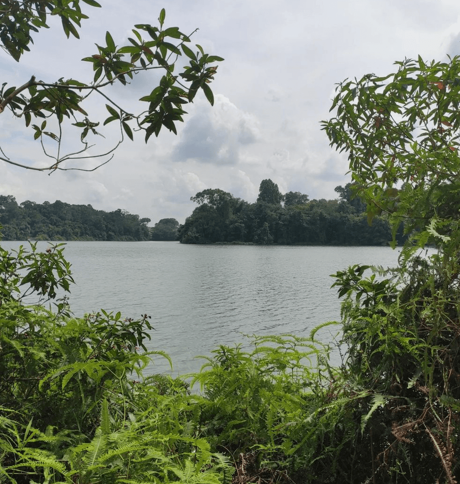 lower peirce reservoir