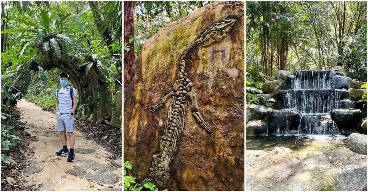 Sentosa Waterfall Imbiah Trail: Nature Trail In Sentosa With Waterfalls, Fossils & More