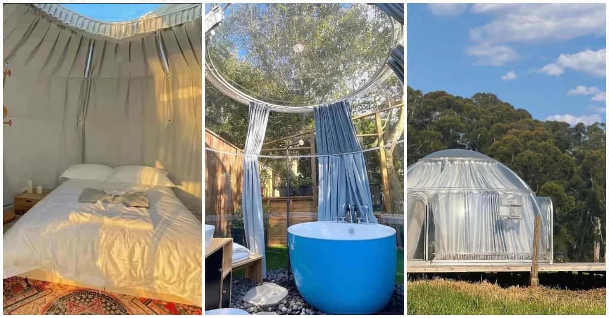 Sleep Under The Stars In This Transparent Dome In Cameron Highlands