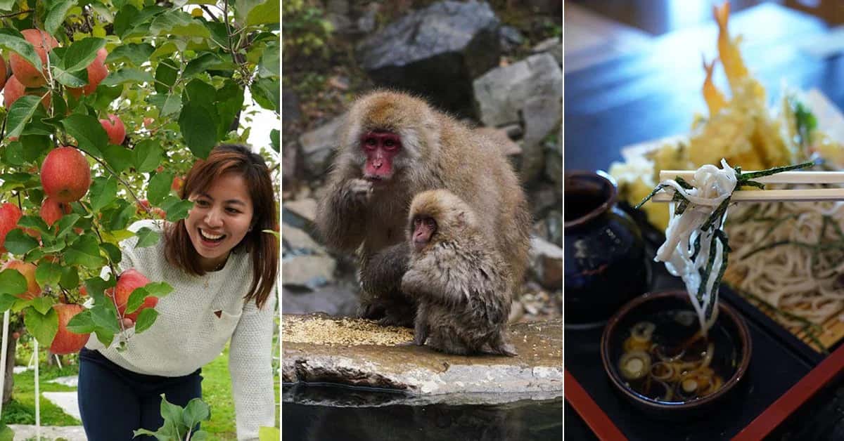 nagano tokyo takasaki snow monkey muslim-friendly itinerary