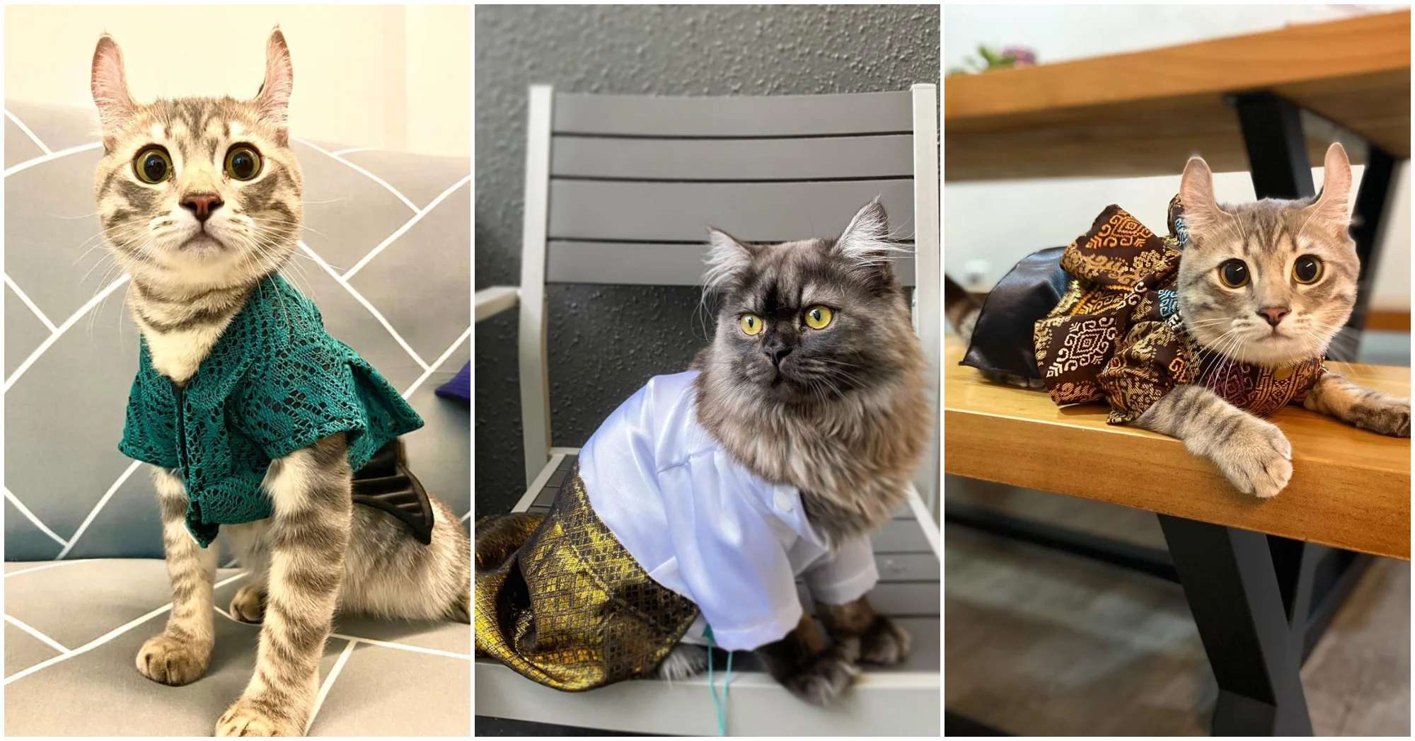 3 Places In Singapore To Buy Adorable Baju Raya For Your Cats