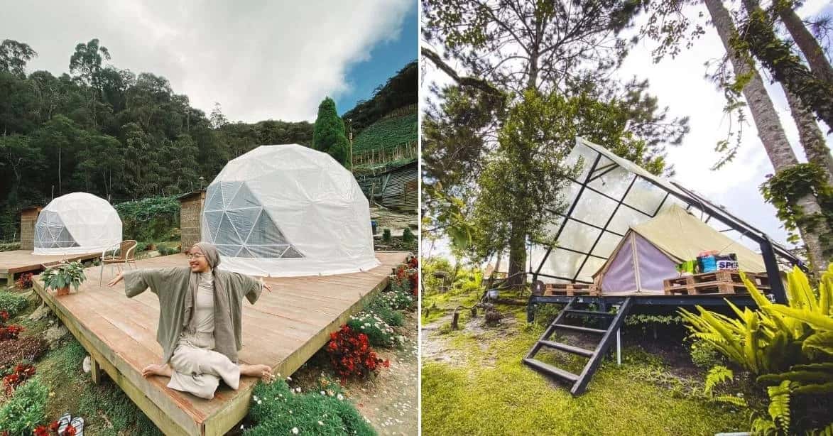 Glamping in Cameron Highlands
