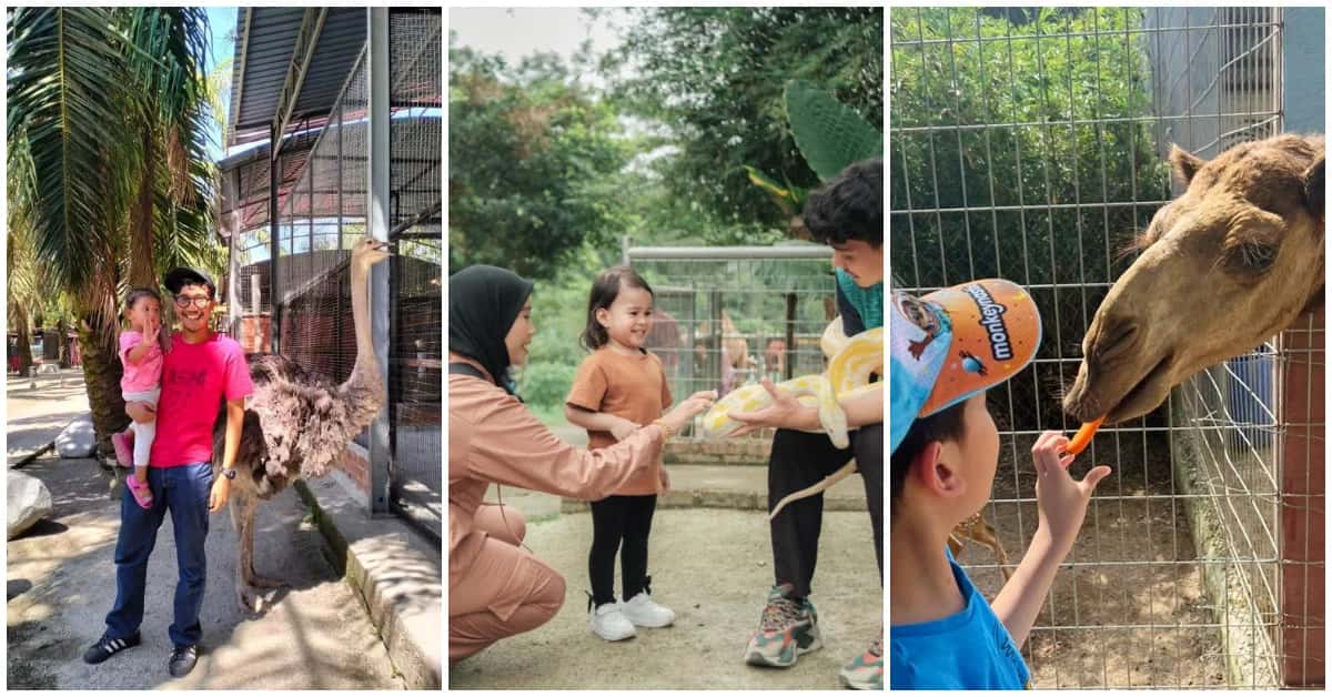 Petting Zoos In Selangor