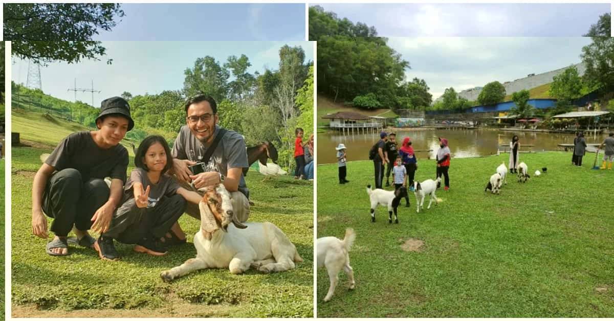 The Bukit Jelutong Eco Community Park Has A FREE Mini Zoo Perfect For Animal Lovers